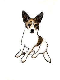 Foster dogs/puppies