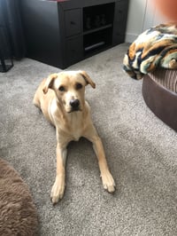 Oakley