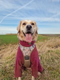 Bella