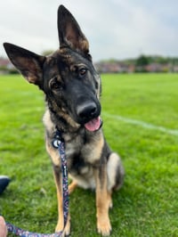 Skye
