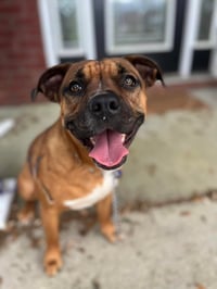 Lola