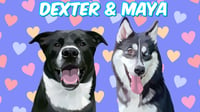 Dexter & Maya