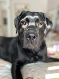 Betty