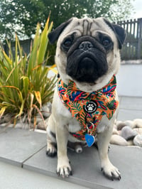 Charlie