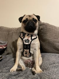 Frank