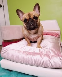 Bijou