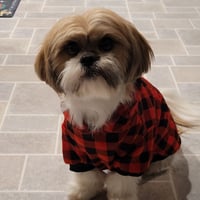 Muffin