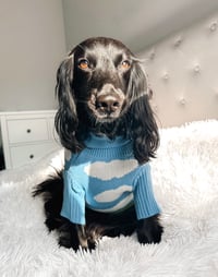Moosey