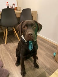 Charlie