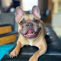 Penny