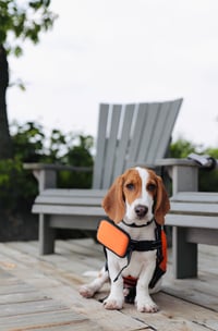 Aubrey