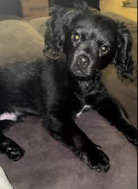 Max