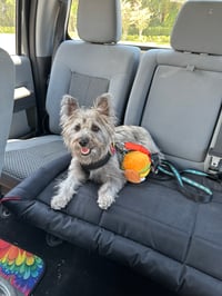Maggie Sunshine