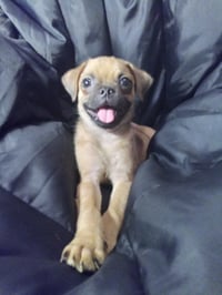 rockey