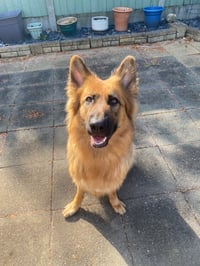 Lola