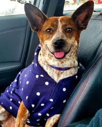 Maggie