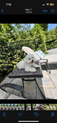 Einstein
