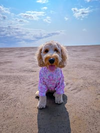 Violet