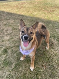 Kimi