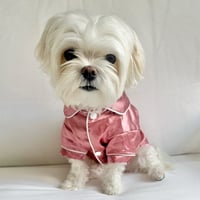 Lucy Mae