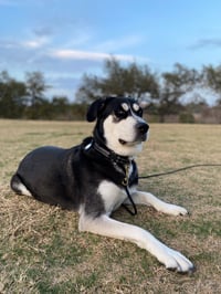Winifred (Winnie)
