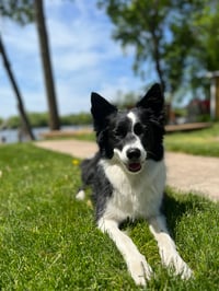 Blu