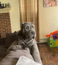 Chyna