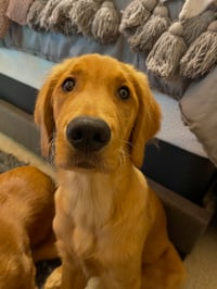Sammy