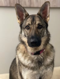 Chloe