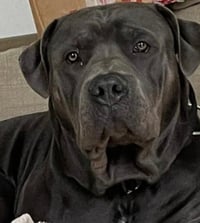 Mylo