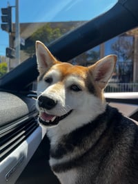 Mia