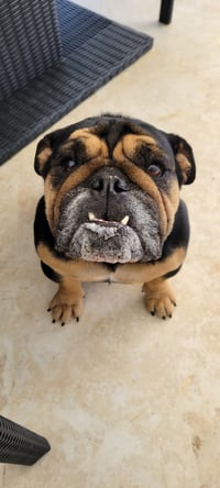 Fiona