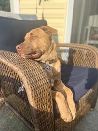 Ronan