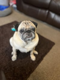 Frank