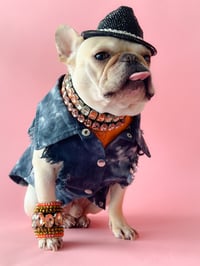 Sir Quincy