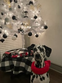 Princess Snoopy