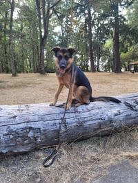 Xena