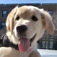 Butters
