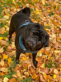 Zoe