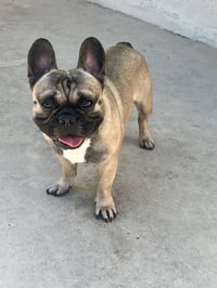 Tyson