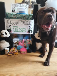 Theo