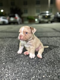 Benz