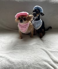 Winter and Summer