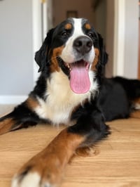 MacGregor