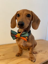 Waldo