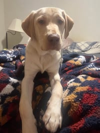 Barry