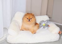 Melrose and Teddie
