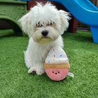 Pip