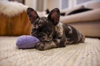 Winnie