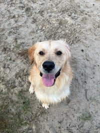 Milo